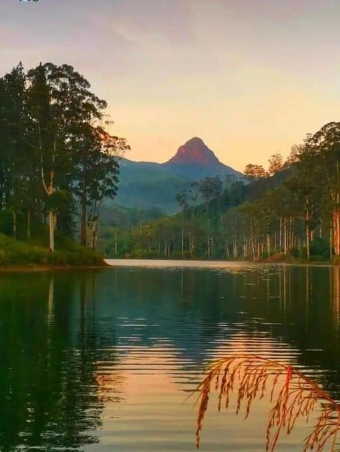 Punsisi Resort - Adam'S Peak Наллатания Экстерьер фото